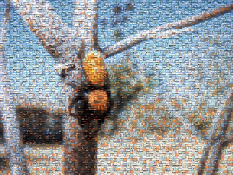 Illustration for article titled Shooting Challenge: Mosaic